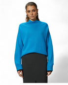 Maglione Donskoy in Lana e Cashmere con Collo a Lupetto-Maglieria-Pinko-Vittorio Citro Boutique