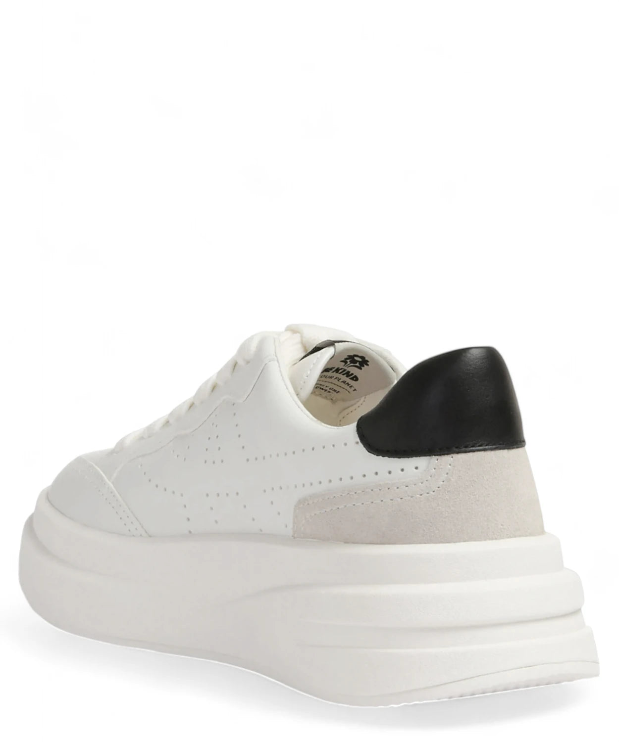 Sneakers in Pelle Bianca con Design Traforato-ASH-Sneakers-Vittorio Citro Boutique